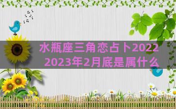 水瓶座三角恋占卜2022 2023年2月底是属什么